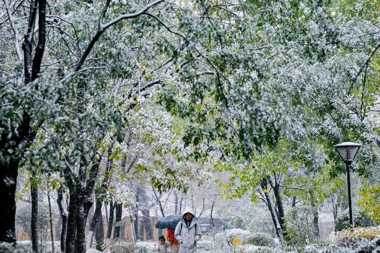 瀋陽初雪圖