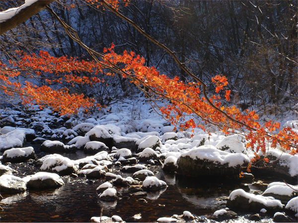 本溪關門山國家森林公園 領略壯美冰瀑景觀_fororder_楊薇關門山4