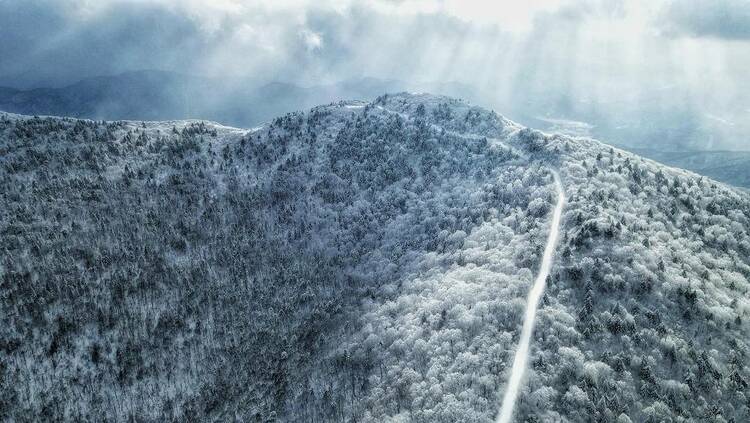 本溪：林場建景區 青山變金山