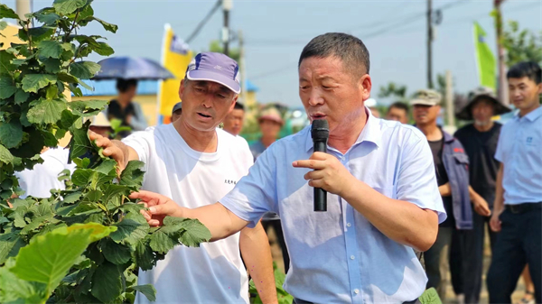 瀋陽遼中有個帶動萬餘農戶創業增收超億元的“土專家”_fororder_張森