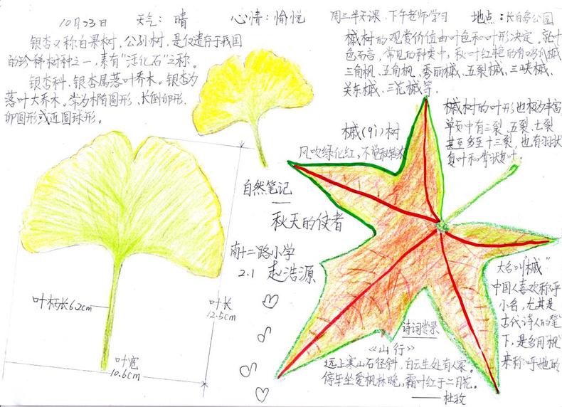 2019瀋陽綠色成長計劃已有300人報名