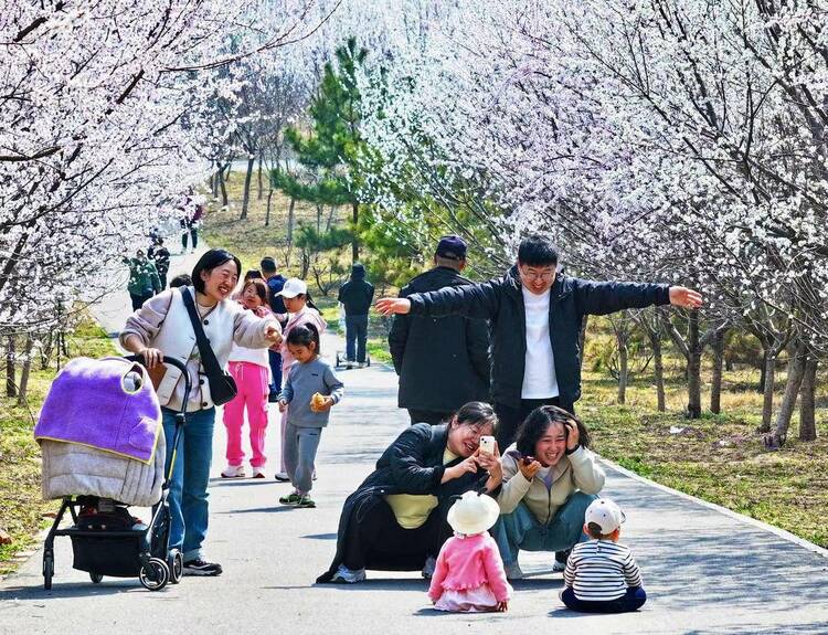 大連：林花皆似錦，儘是看花人