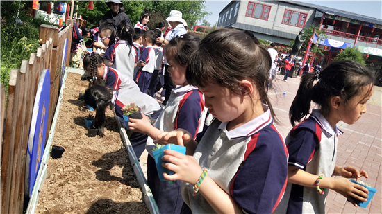 瀋陽市蘇家屯區實驗幼兒園開展勞動研學活動_fororder_微信圖片_20240602102453