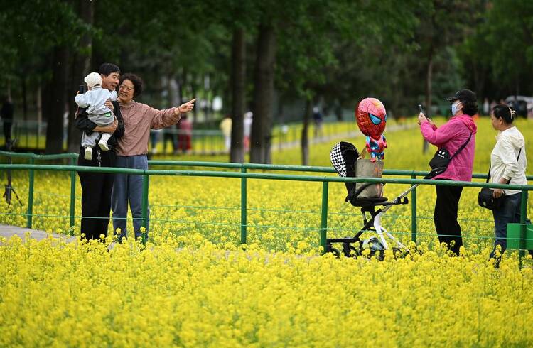 瀋陽：油菜花開滿地金