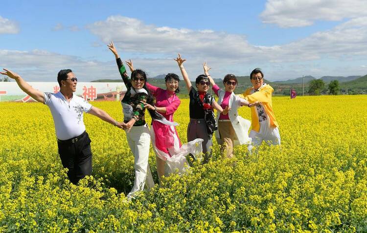 朝陽：花海如畫客自來