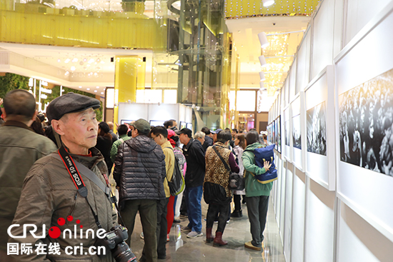 “友好遼寧”攝影比賽暨中匈建交70週年《絲路鏡像》藝術展開幕