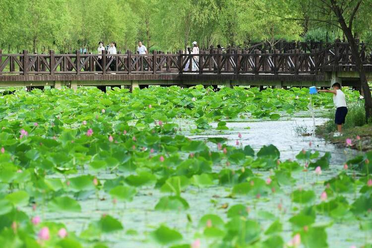 朝陽：暢遊大淩河，樂享假日時光