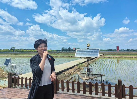 面朝大海 春暖花開丨盤錦科技興農，為稻米溯源鎖鮮