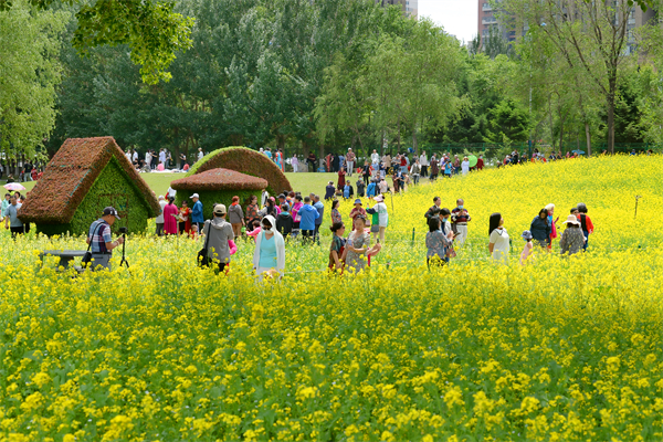 （圖）夏日享清涼，歡樂在瀋陽！六大板塊530余項文體旅活動等你來_fororder_花海人流 攝影 王泉.JPG