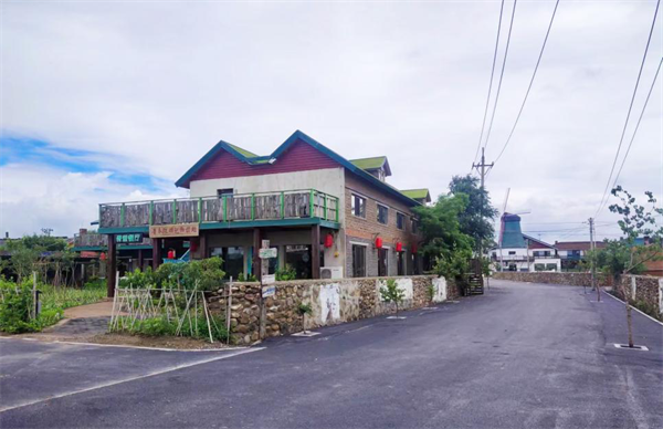 和美鄉村 瀋陽畫卷 | 單家村：“田園+文旅”繪就“稻夢農民”的“良田美景”_fororder_和美鄉村2