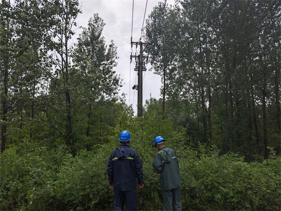 遼寧葫蘆島供電公司：加強雨後特巡特護 築牢防汛安全網_fororder_微信圖片_20240801091948