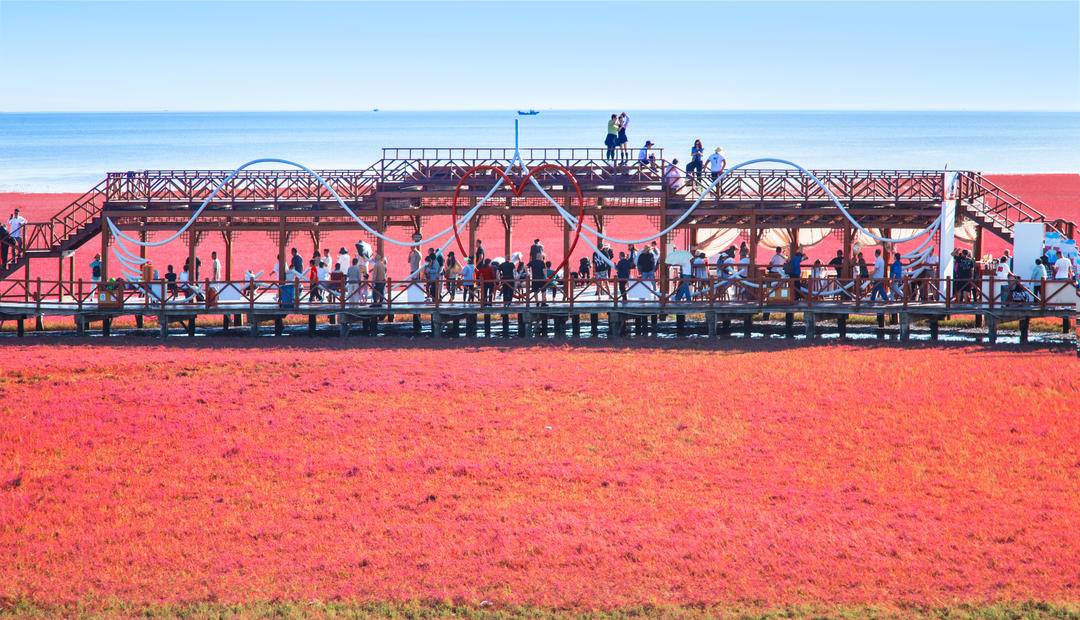 盤錦紅海灘景區火“出圈”