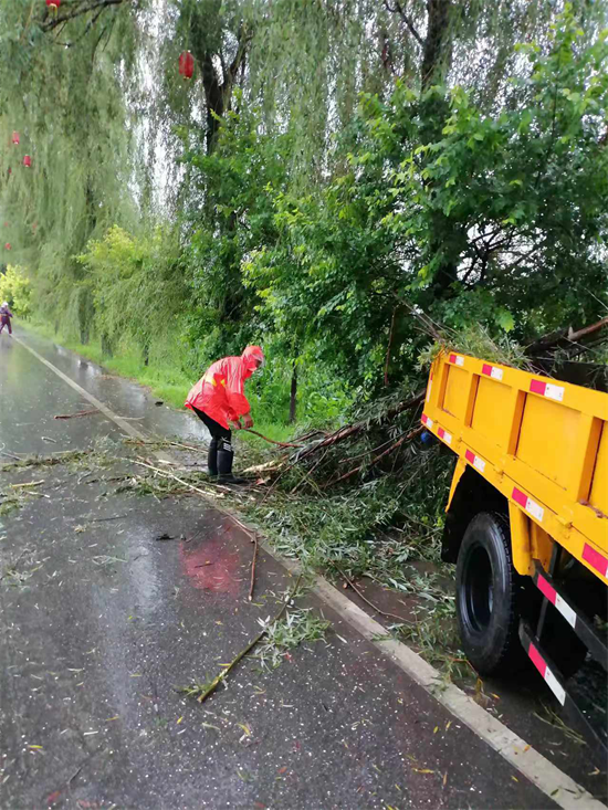 本輪降雨遼寧有9處農村公路中斷 其中4處主動臨時封閉_fororder_防汛2