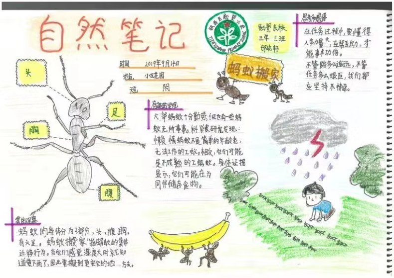 超2500件作品參評 瀋陽青少年自然筆記大賽報名結束