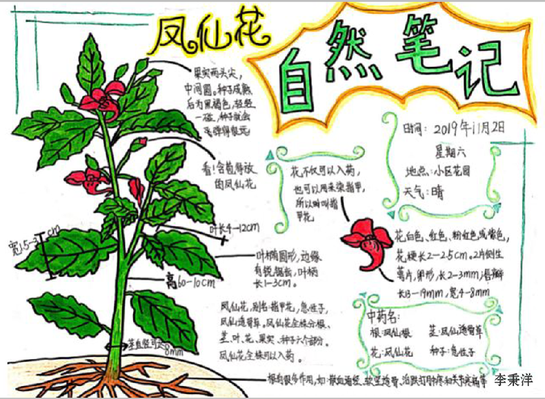 手繪夢想匯聚希望 瀋陽市青少年自然筆記大賽二等獎作品揭曉