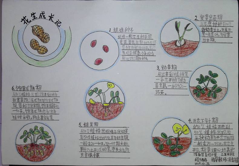 手繪夢想匯聚希望 瀋陽市青少年自然筆記大賽二等獎作品揭曉