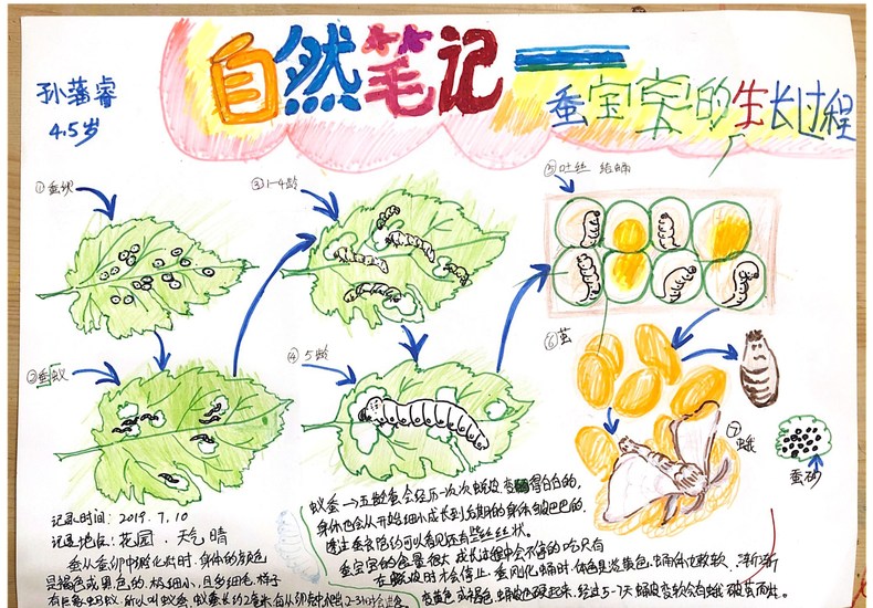 30名瀋陽青少年榮獲自然筆記大賽三等獎