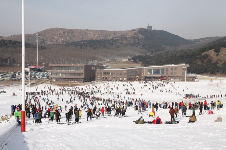 “呆萌”企鵝來助陣 瀋陽沈北新區第二屆嬉雪花燈節12月29日開幕