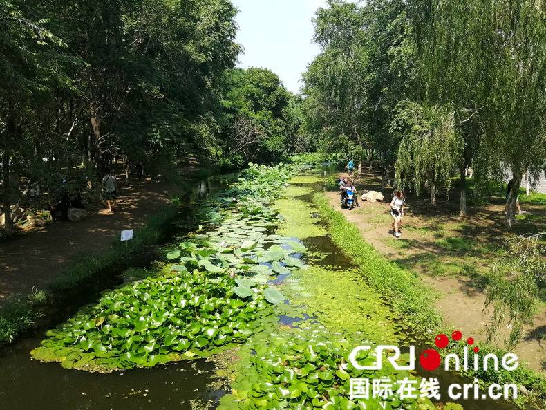 第四屆渾河之夏蓮花荷花節開幕