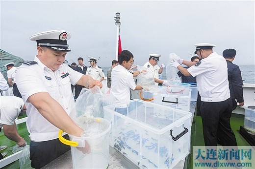 圖片默認標題