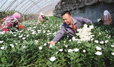 北鎮市特色農産品借助快遞擴展銷路