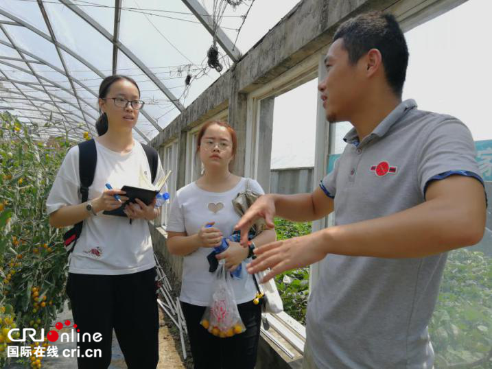 東北大學學子深入農業示範基地 關注都市農業大發展