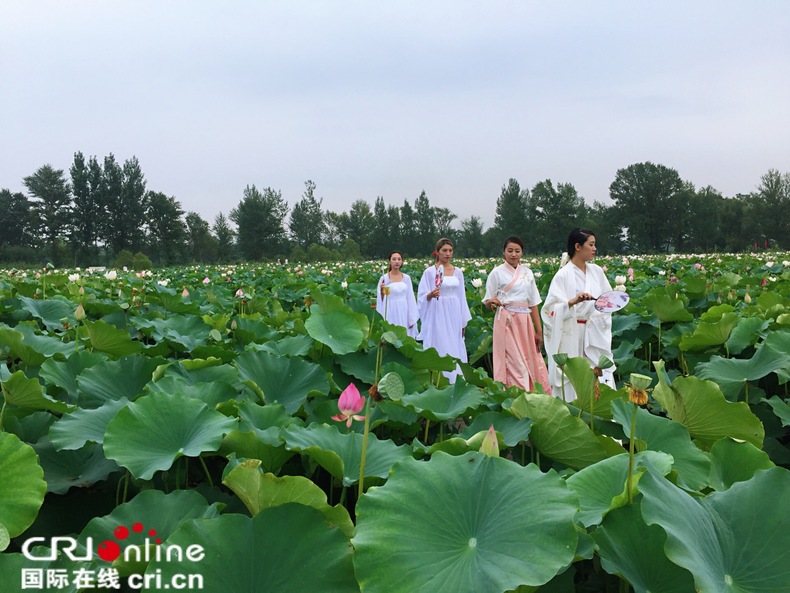 盤錦第九屆荷花旅遊文化節啟幕