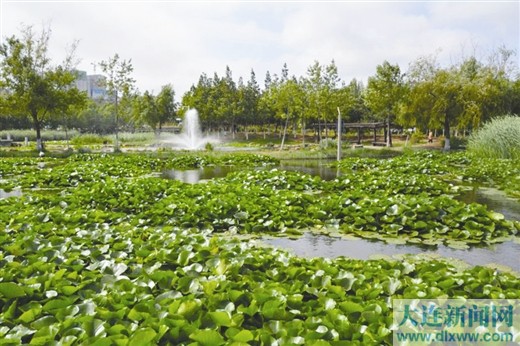 “整容”後大連前關濕地公園又漂亮又乾淨