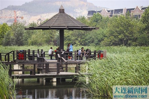 “整容”後大連前關濕地公園又漂亮又乾淨