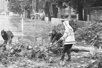 應對強降雨遼寧轉移人口45037人