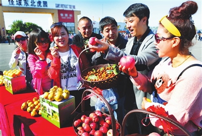 沈北新區邀市民評選最美果園