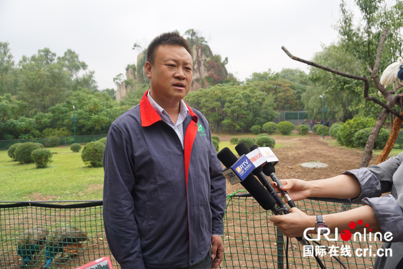 國慶到瀋陽鳥島和千余只珍稀鳥禽“親密接觸”