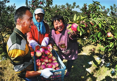 沈北新區十大採摘基地助農增收