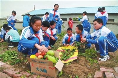 鐵嶺縣蔡牛鎮中心小學的開心農場迎來秋收