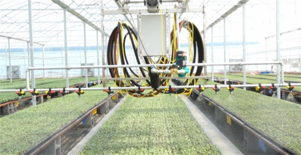 新民市：農業發展多點開花 産業鏈升級與品牌增效齊頭並進_fororder_新民農業1