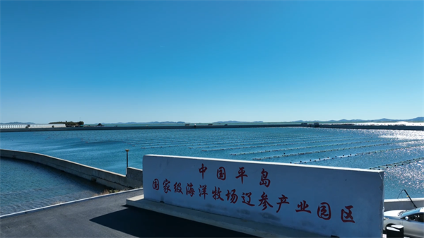 圖説·普蘭店 | 打造“中國遼參産業之都”城市産業品牌_fororder_圖説普蘭店2