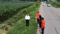 垃圾帶變身綠意長廊 阜新化石戈鎮公路沿線“美麗新生”