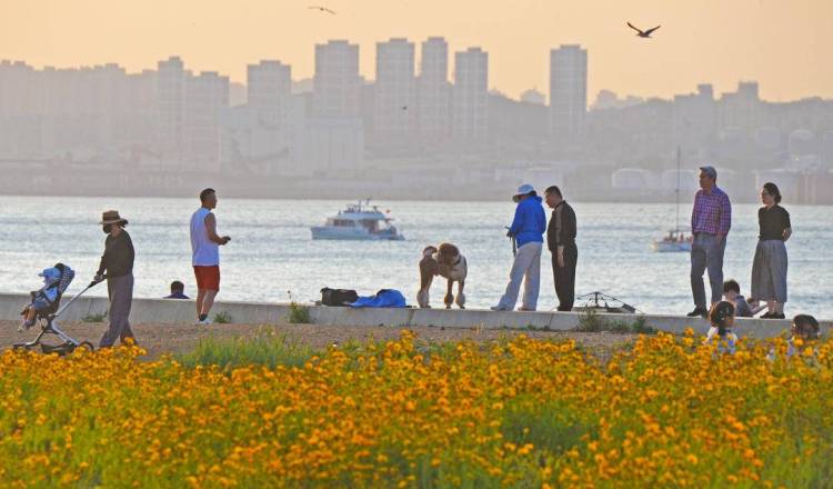 大連：盛夏花開遊人醉