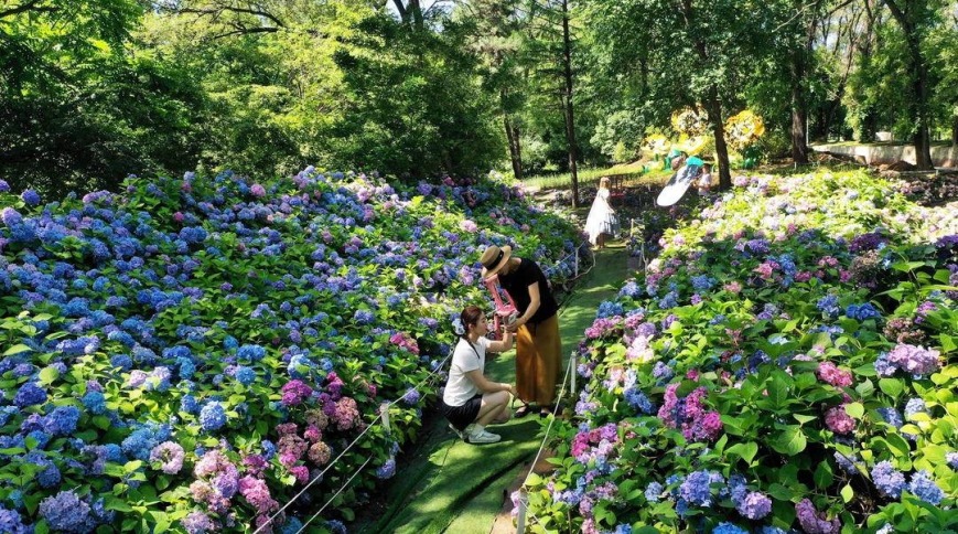 來瀋陽植物園，赴一場夏花之約