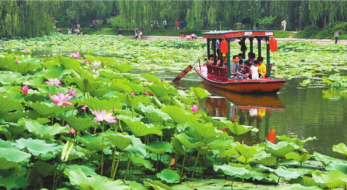 秋日韻正濃 新民寵客忙