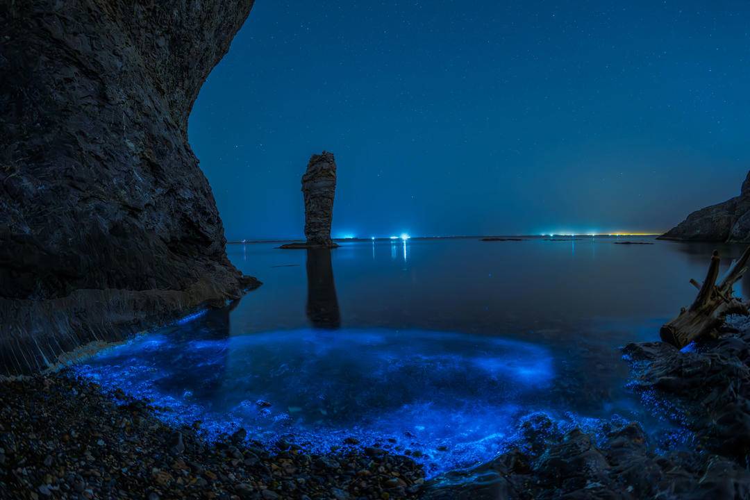 大連“熒光海”，宛若墜星河