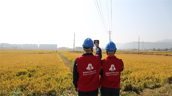 遼陽供電公司智慧巡檢護航秋收安全_fororder_燈塔電力1-10月16日，國網遼陽供電公司弓長嶺區供電公司員工崔智博、閆君在新安平村巡檢秋收重點線路。（王鑫洋）