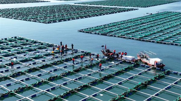 圖説·普蘭店 | 打造“中國遼參産業之都”城市産業品牌_fororder_圖説普蘭店5