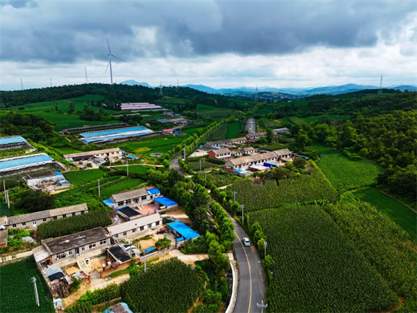 美麗農村路“修”出民生幸福新畫卷_fororder_普蘭店修路1.JPG