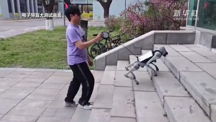 瀋陽：電子導盲犬讓視障人士“看見”生活點滴