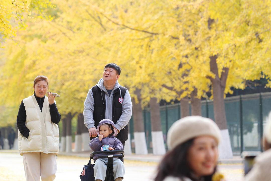 秋日限定款，漫天飛舞的金色浪漫