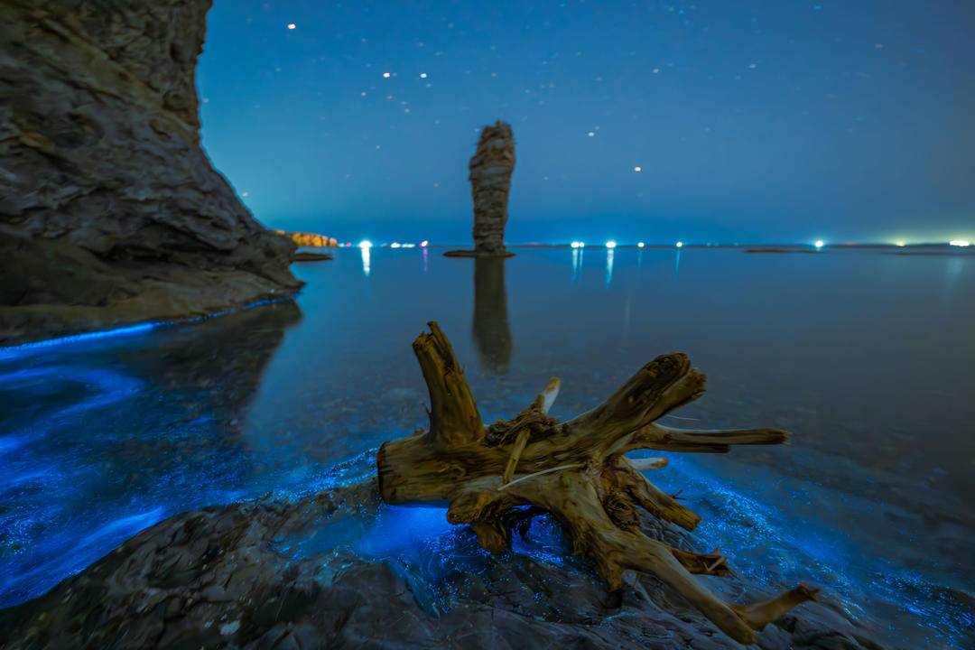 大連“熒光海”，宛若墜星河