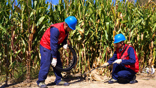 阜新:電力護航糧歸倉 繪就秋收好“豐”景_fororder_阜新電力2