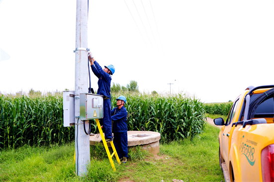 阜新:電力護航糧歸倉 繪就秋收好“豐”景_fororder_阜新電力1