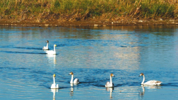 “治山、治水、治城”一體推進 錦州將綠色融入城市肌理